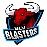 Team logo